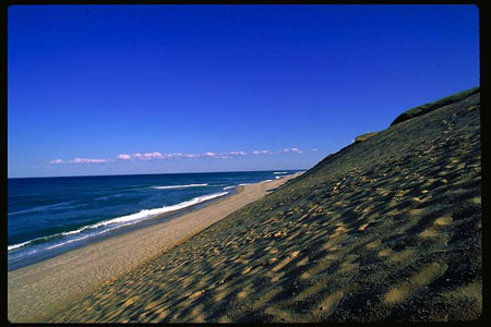 oceanside dune